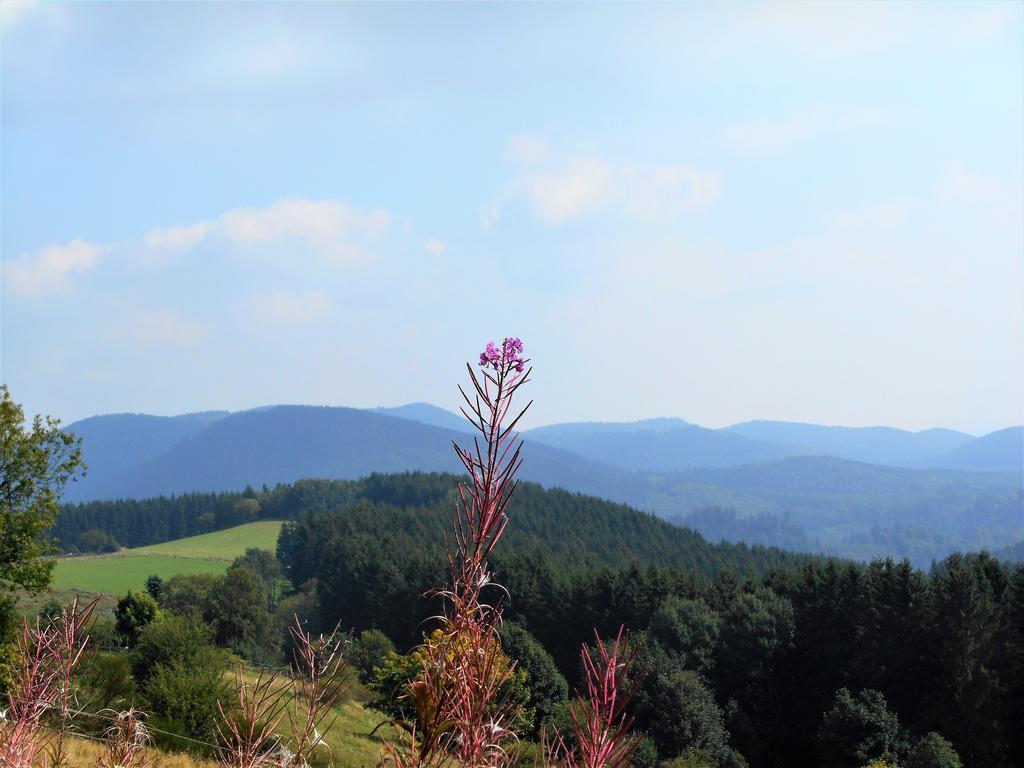 Apartment Blickfang Winterberg Luaran gambar
